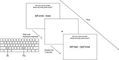 Can they touch? A novel mental motor imagery task for the assessment of back pain